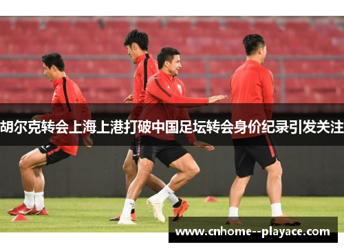 胡尔克转会上海上港打破中国足坛转会身价纪录引发关注 胡尔克转会上海上港打破中国足坛转会身价纪录引发关注